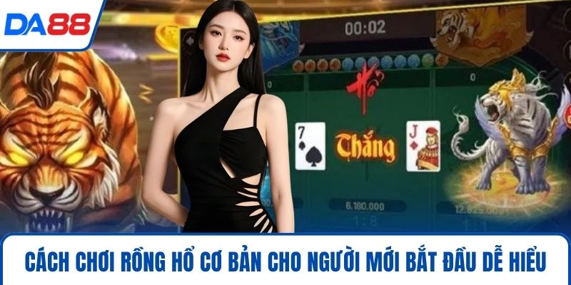 Cách chơi Rồng Hổ cơ bản cho người mới bắt đầu dễ hiểu